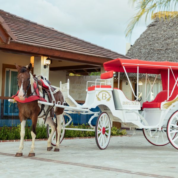 Paseo a caballo en Brunei Hotel Boutique